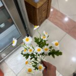 پوته شکوفه
