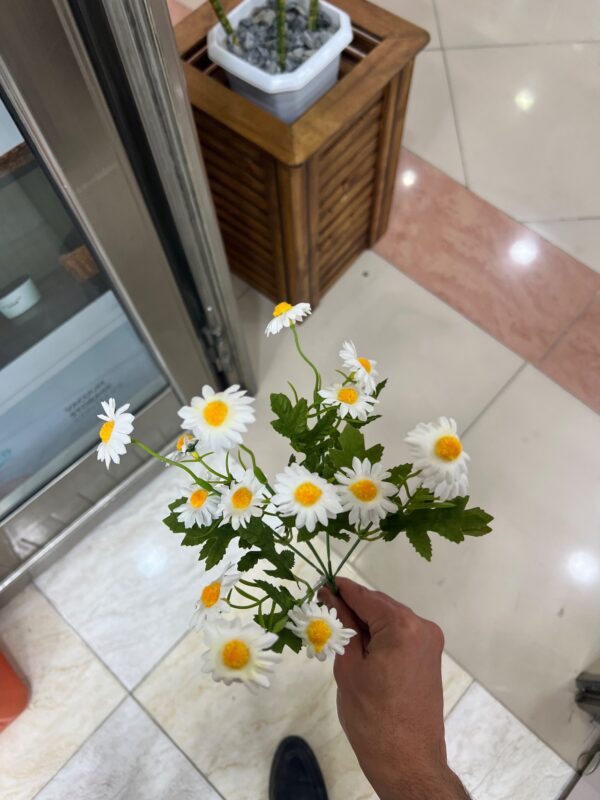 پوته شکوفه