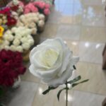 شاخه گل