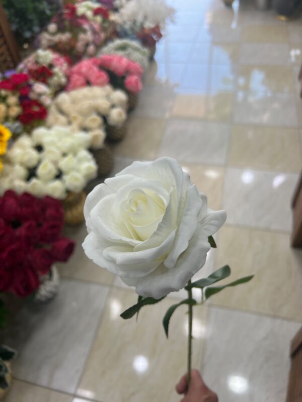شاخه گل