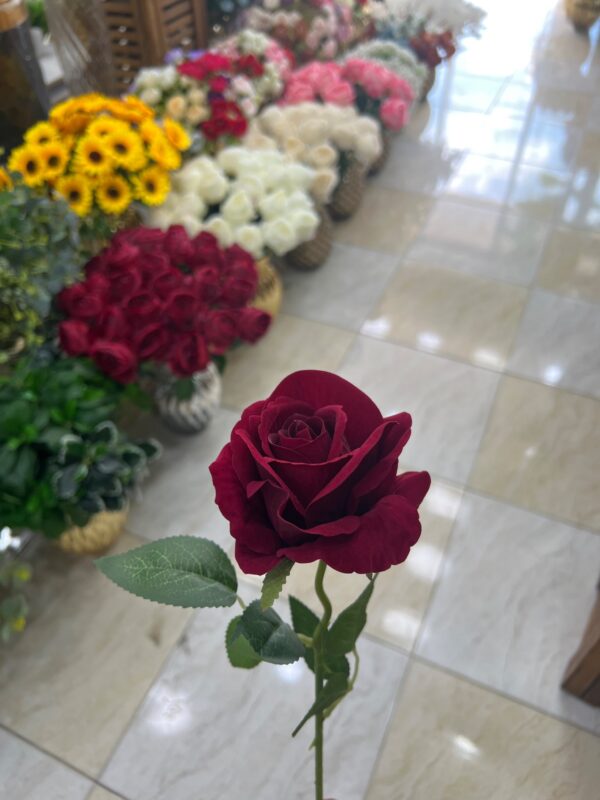 شاخه گل