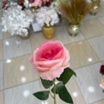 شاخه گل