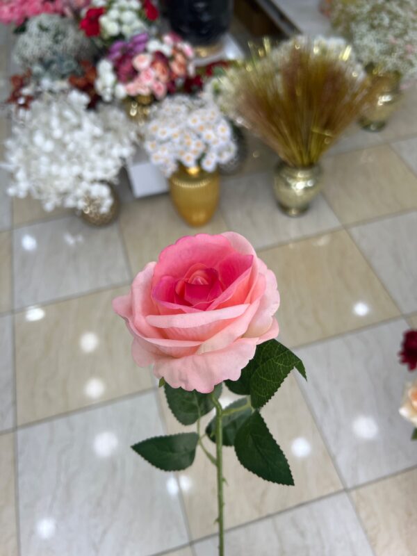 شاخه گل