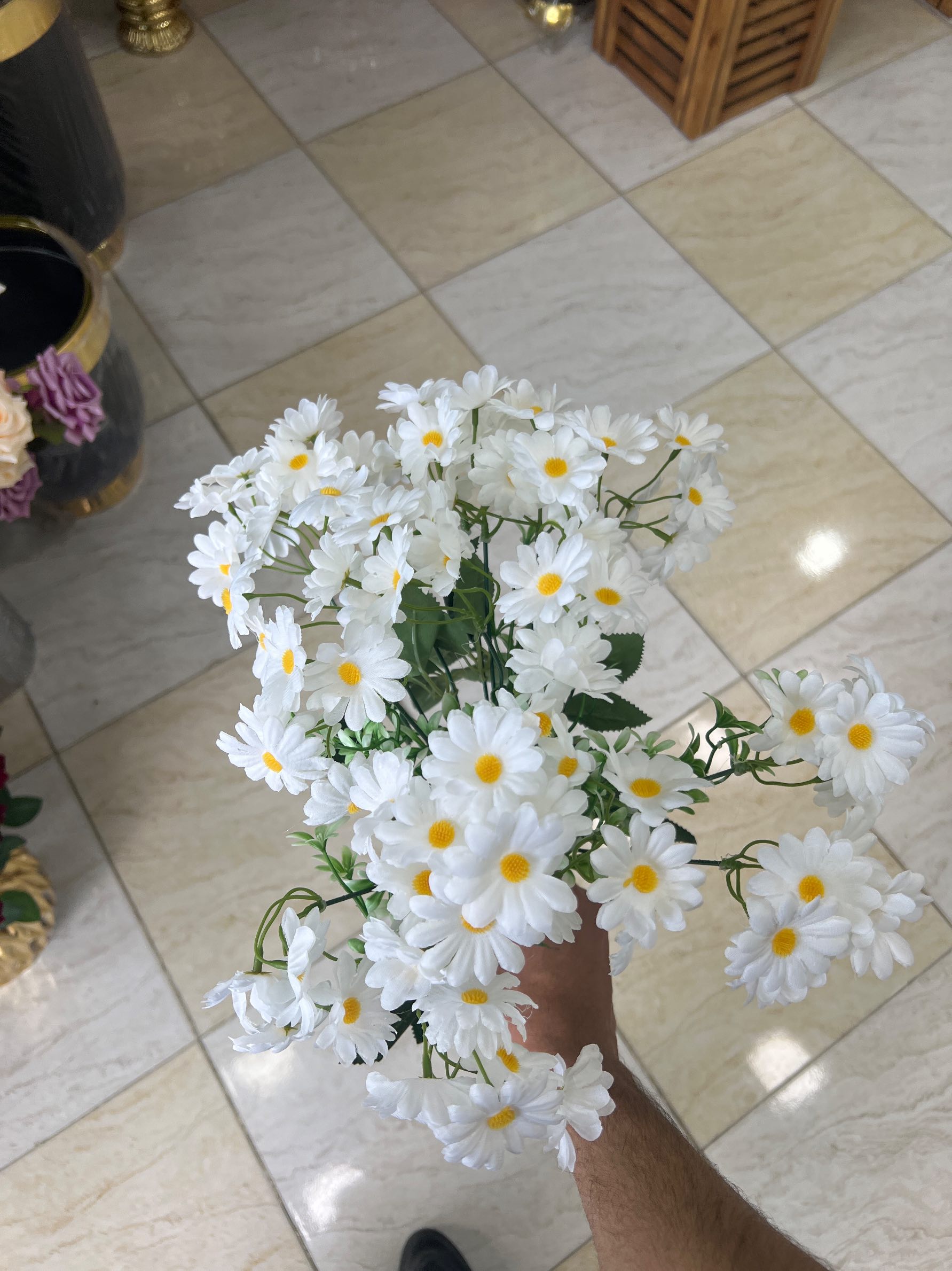 image بوته بابونه - Image 1