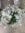 بوته بابونه - Image 2