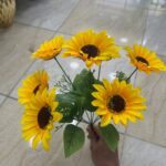 بوته افتاب گردان