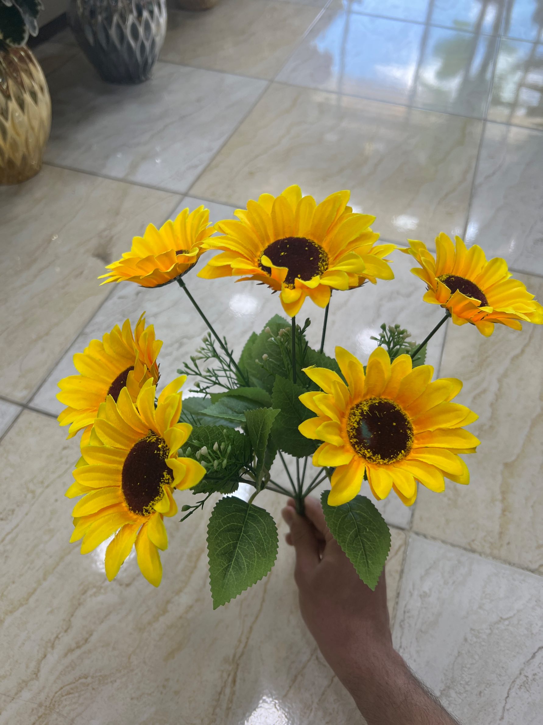 image بوته افتاب گردان - Image 1