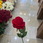 شاخه گل