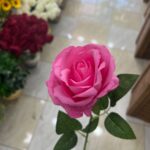 شاخه گل