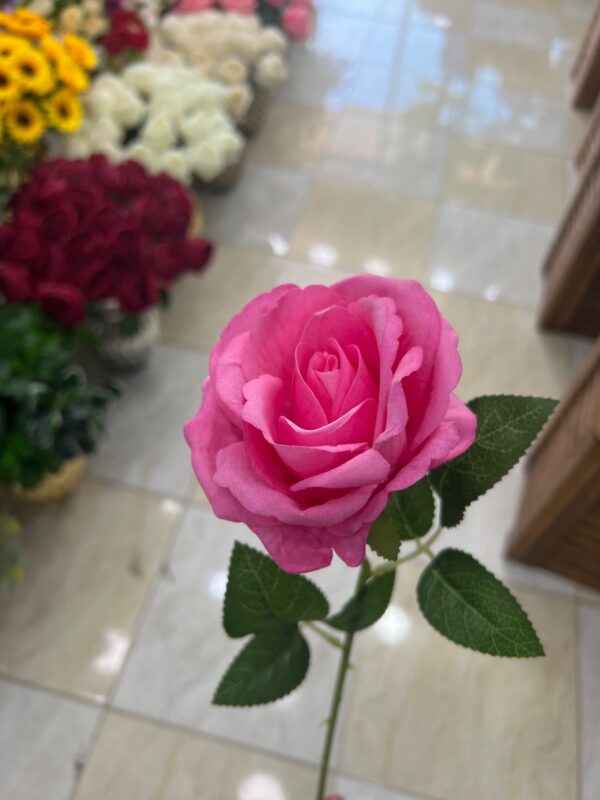شاخه گل