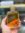 عطر ادکلن رصاصی هوس زنانه - Image 5